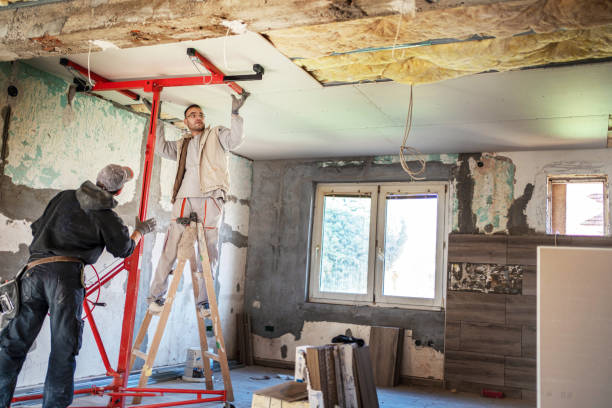 Best Insulation Removal  in Brooklyn, NY